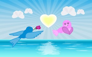 love-birds-1079102_960_720